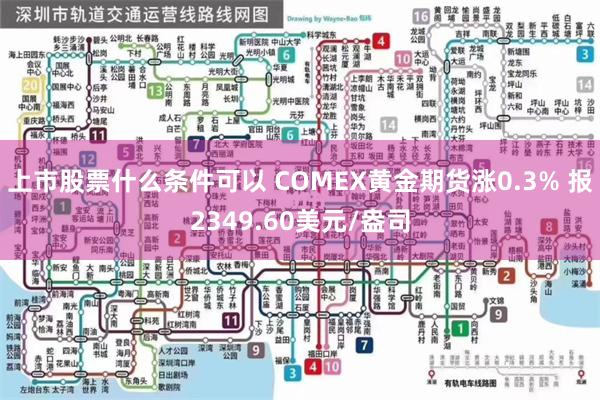 上市股票什么条件可以 COMEX黄金期货涨0.3% 报2349.60美元/盎司