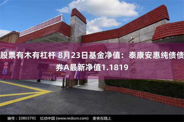 股票有木有杠杆 8月23日基金净值：泰康安惠纯债债券A最新净值1.1819