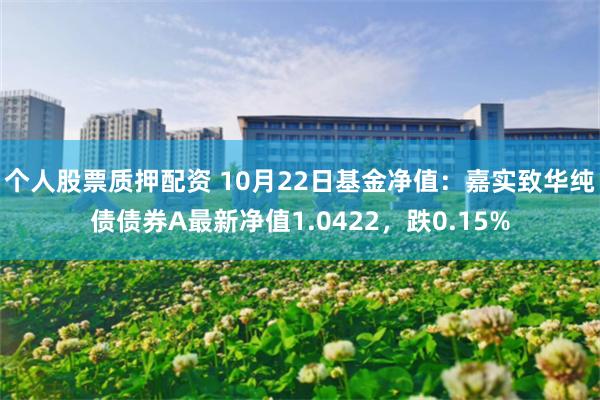 个人股票质押配资 10月22日基金净值：嘉实致华纯债债券A最新净值1.0422，跌0.15%
