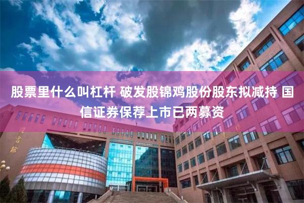 股票里什么叫杠杆 破发股锦鸡股份股东拟减持 国信证券保荐上市已两募资
