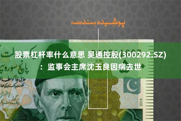 股票杠杆率什么意思 吴通控股(300292.SZ)：监事会主席沈玉良因病去世