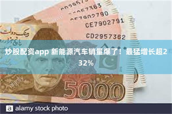 炒股配资app 新能源汽车销量爆了！最猛增长超232%