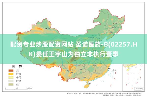 配资专业炒股配资网站 圣诺医药-B(02257.HK)委任王宇山为独立非执行董事