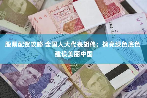 股票配资攻略 全国人大代表胡伟：擦亮绿色底色 建设美丽中国