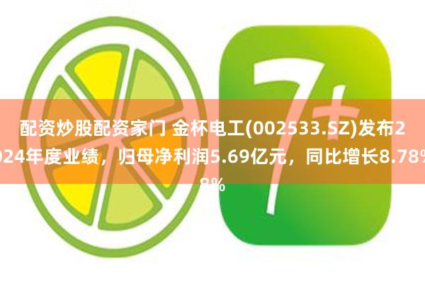 配资炒股配资家门 金杯电工(002533.SZ)发布2024年度业绩，归母净利润5.69亿元，同比增长8.78%