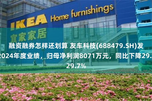 融资融券怎样还划算 友车科技(688479.SH)发布2024年度业绩，归母净利润8071万元，同比下降29.7%