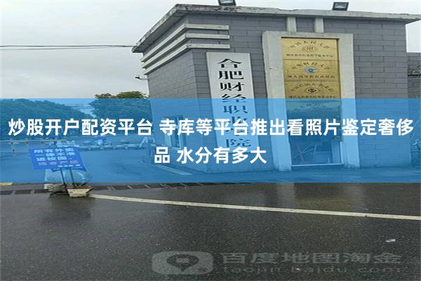 炒股开户配资平台 寺库等平台推出看照片鉴定奢侈品 水分有多大