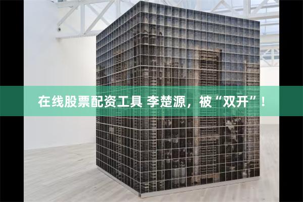 在线股票配资工具 李楚源，被“双开”！