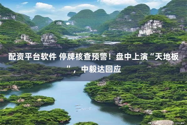 配资平台软件 停牌核查预警！盘中上演“天地板”，中毅达回应