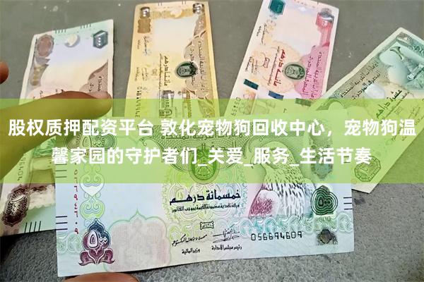 股权质押配资平台 敦化宠物狗回收中心，宠物狗温馨家园的守护者们_关爱_服务_生活节奏