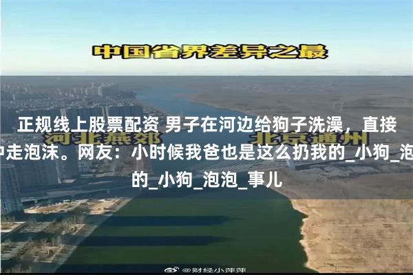 正规线上股票配资 男子在河边给狗子洗澡，直接扔水里冲走泡沫。网友：小时候我爸也是这么扔我的_小狗_泡泡_事儿