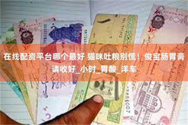 在线配资平台哪个最好 猫咪吐粮别慌！俊宝肠胃膏请收好_小时_胃酸_洋车
